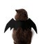 2019 New OLN Pet Dog Cat Bat Wing Cosplay Prop Halloween Bat Fancy Dress CHK177 Carousel 3
