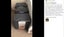 Brand New Storage Bags Box Quilt Blanket Pillow Zipper Containers *Sale NOW* Carousel 6