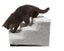 PTN NEW Pet Stairs Steps Sale Sale Carousel 6