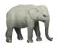 Science and Nature Elephant Carousel 1