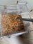 luxury small mealworm farm with 200 worm Carousel 4
