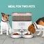 Pet Feeder - Sale NZ Stock Deal Carousel 14