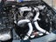 Rotary Engine Services M&M Racing & Mechanical Carousel 15
