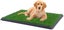Dog Training Toilet Carousel 8