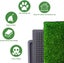 Dog Training Toilet Carousel 10