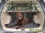 PTN NEW Car Barrier Car Pet Dog Barrier Safety Fence Sale Sale Carousel 1