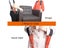 Furniture Lifting Straps 2-Person Belts NZ Clearance Carousel 3