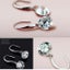 Loose Diamonds Earrings Long Section High-grade Zircon Earrings Women Earrings Carousel 4