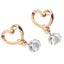 Women Ear Jewelry Heart Shaped Crystal Earrings Eardrop Stud Earring Gifts Carousel 1