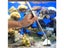 Aquarium Aquascaping Tools Kit Stainless Steel Carousel 10