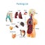 Human Body Model Organs Simple Assembly Learning Tool Kit Carousel 4