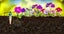 Loading Image 2 of 12