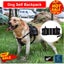 Dog Harness Pack Hound Leash Collars Saddle Backpack *Over Stocked* Carousel 2