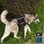 Dog Harness Pack Hound Leash Collars Saddle Backpack *Over Stocked* Carousel 17