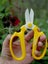 Niwaki Sakagen Flower Scissors Carousel 4