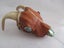 KIWIANA TAXIDERMY SKULL DISPLAY WITH PAUA EYES Carousel 1