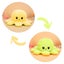 Loading Image 1 of 1