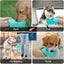 Brand New Outdoor Dog Water Feeder Bottle Bowl Poop Bag*Hot SALE Carousel 12