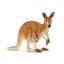 Loading Image 1 of 2
