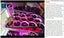 Brand New Grow Lights Indoor Plants LED Grow Lights UV Lamps *Clearance* Carousel 10
