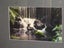Awesome Waterfalls Photo print ? Carousel 4