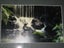 Awesome Waterfalls Photo print ? Carousel 7