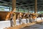 Dairy Chip Woodchip Carousel 1