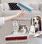 Pet Hair Remover Roller Sticker Dog Hair Cleaner Convenient Sofa Clothes Carousel 1