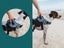 ZEE.DOG FLYHARNESS - GALAXY - SIZE 4 Carousel 12