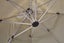 *MG*High Quality Sun Umbrella 2.5m with 92kg Marble Base * 5 colour avaliable Carousel 8