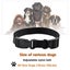 Dog Training Collar Rechargeable And Waterproof Carousel 4