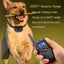 Dog Training Collar Rechargeable And Waterproof Carousel 5