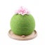 Cat Scratch Post Green Cactus Cat Tree Carousel 5