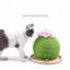 Cat Scratch Post Green Cactus Cat Tree Carousel 6
