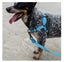 ZEE.DOG Softwalk Harness - LARGE Carousel 1