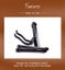 Guitar Stand- A Shape Carousel 12