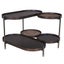 Designer Coffee Table Carousel 1