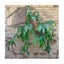 10 Pcs Brick Wall Hooks Carousel 5