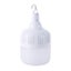 100W USB Rechargeable Portable Camping Led Light Bulb Carousel 4