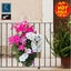 Brand New 4Pack Garden Planter Box Vegetable Pots Flowers *Sale NOW* Carousel 16