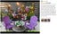 Brand New 4Pack Garden Planter Box Vegetable Pots Flowers *Sale NOW* Carousel 4