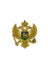 Loading Image 1 of 1