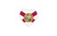 Loading Image 1 of 1