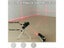 PTN NEW Laser Level Sale Sale Carousel 13