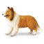 Safari Ltd Collie Carousel 1