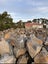 Volcanic Rock / Landscaping Rock for sell Carousel 3