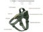 No Pull Dog Harness Clearance - Clearance Carousel 6