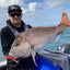 Catch Black Label Livies Softbait 5 or 7" Jerkshad - Engine Oil Carousel 3