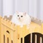 Cat House Rabbit Hutch Pet Scratcher Indoor Bunny Cage Kitten Castle Condo Cave Carousel 6