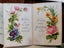 Selection of Antique Pictorial and other Memorabilia Items Carousel 8